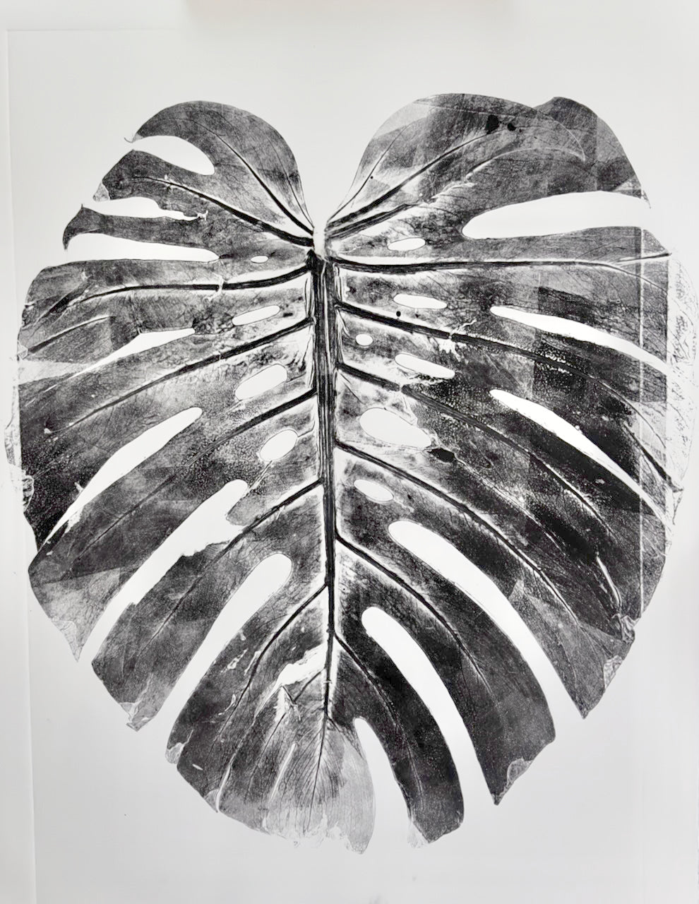 Real Monsteras Leaves PRINT 76x56cm