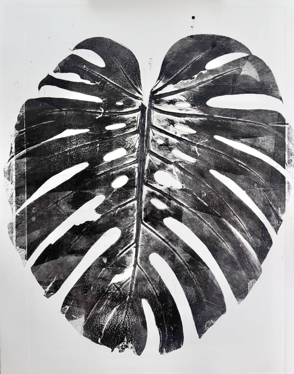 Real Monsteras Leaves PRINT 76x56cm