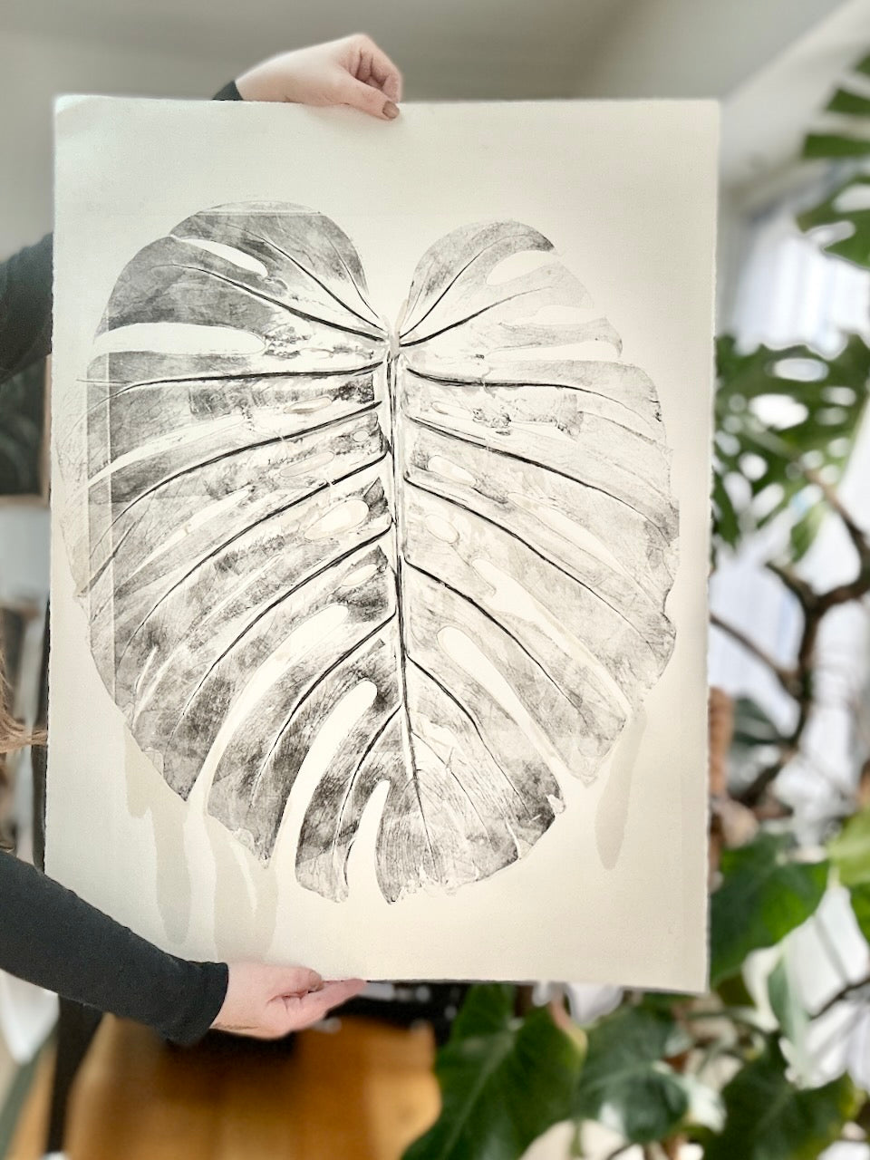 Real Monsteras Leaves PRINT 76x56cm