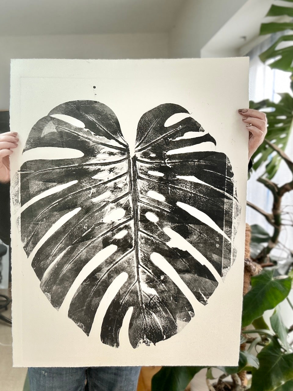 Real Monsteras Leaves PRINT 76x56cm