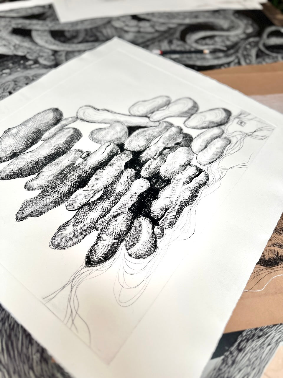 Rocks 56x44cm / DRY POINT Etching / White paper