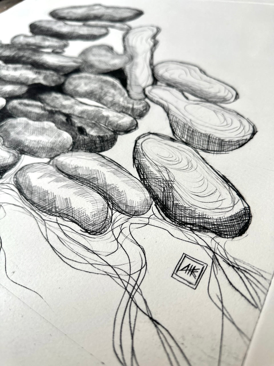 Rocks 56x44cm / DRY POINT Etching / White paper
