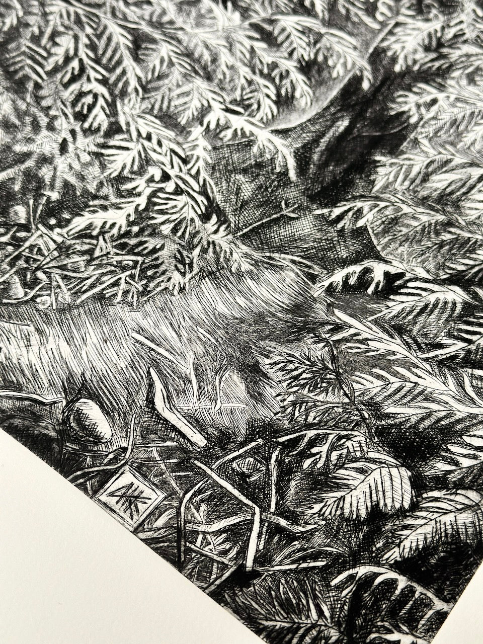 The Path 56x38 cm / DRY POINT Etching