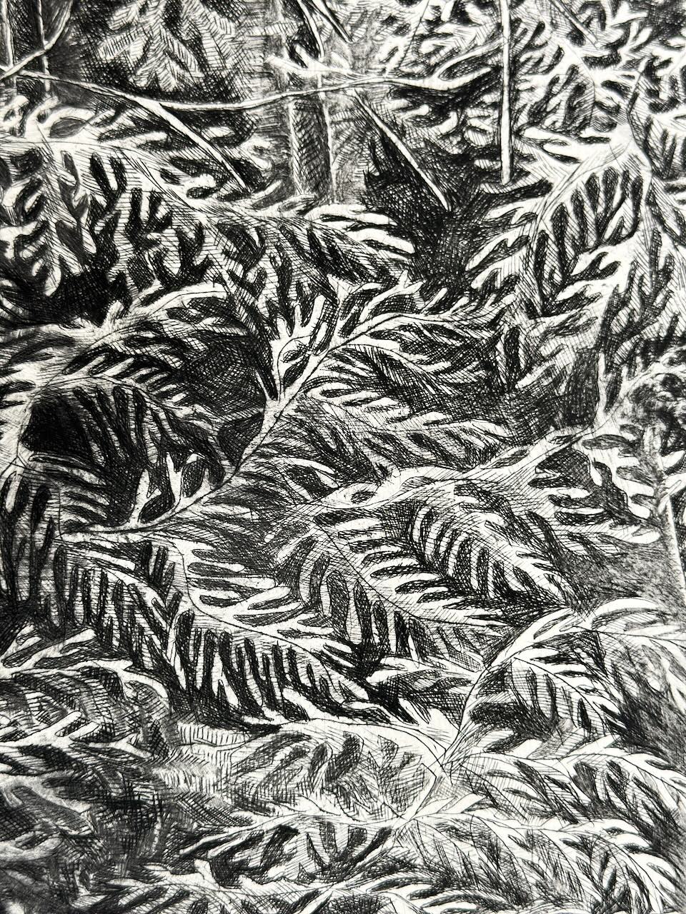 The Path 56x38 cm / DRY POINT Etching