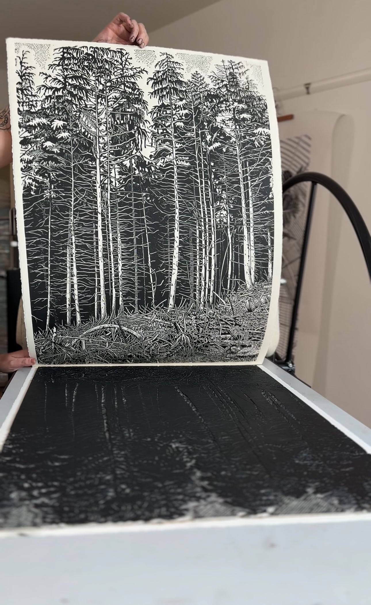 The Forest / 76x56 cm