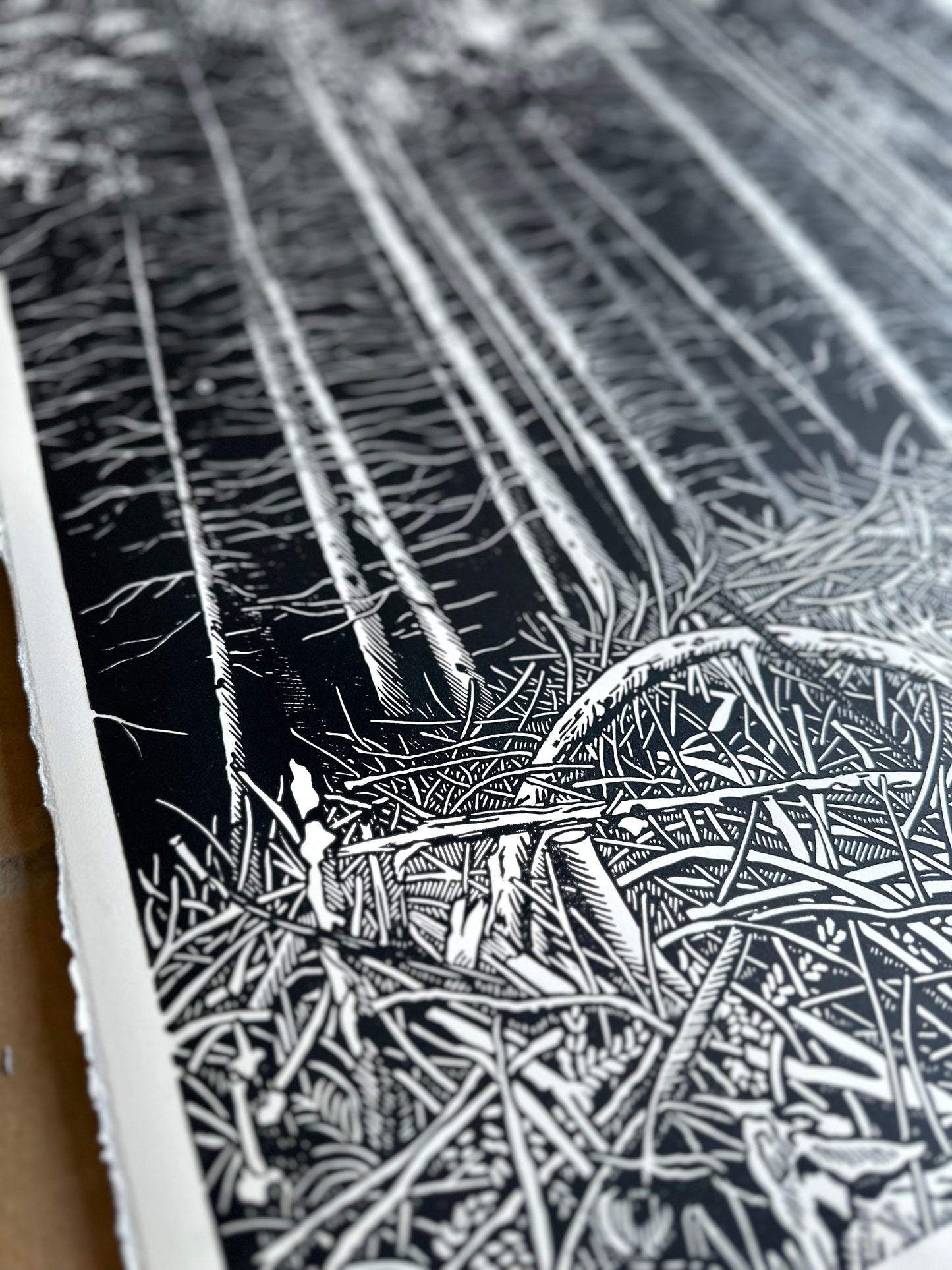 The Forest / 76x56 cm