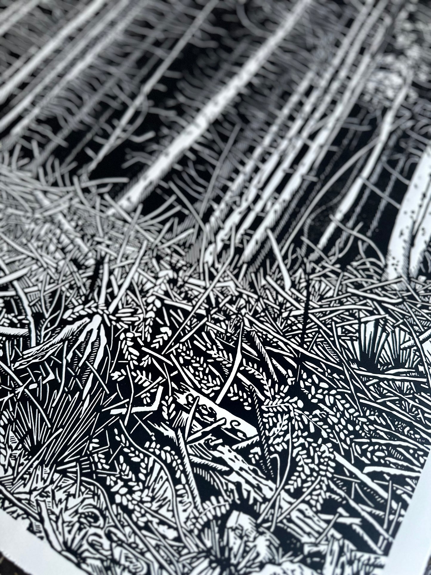 The Forest / 76x56 cm