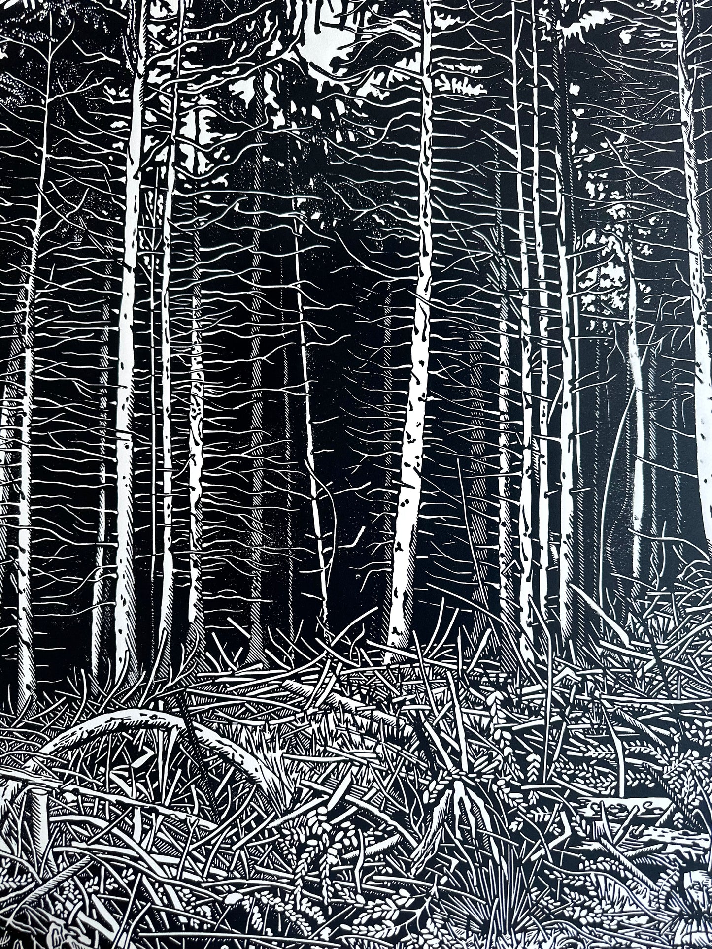 The Forest / 76x56 cm