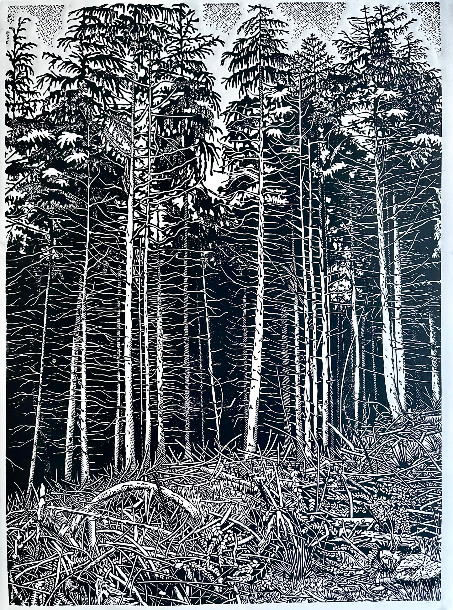The Forest / 76x56 cm