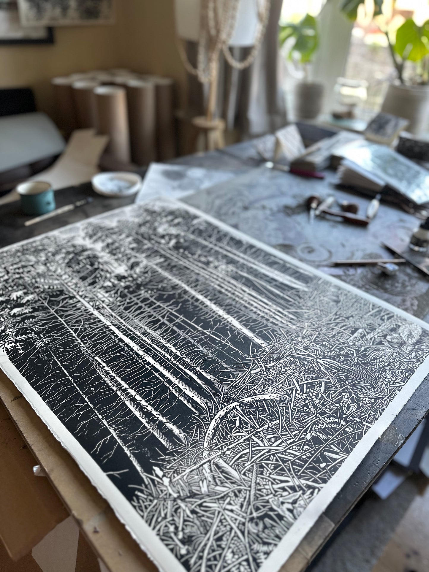 The Forest / 76x56 cm