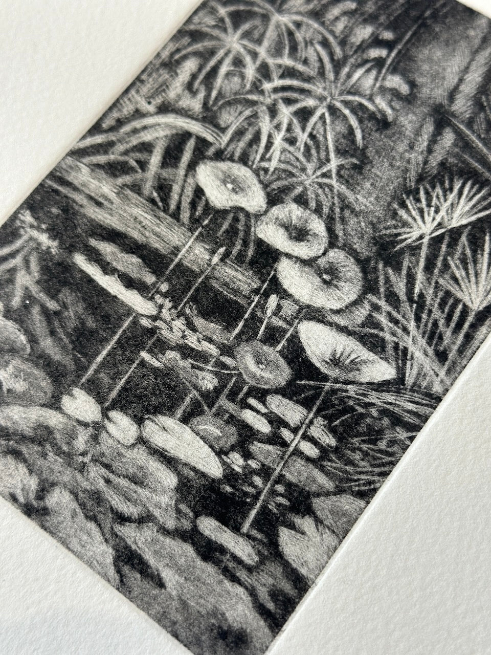 The Pound / 19x26 cm / MEZZOTINT Etching