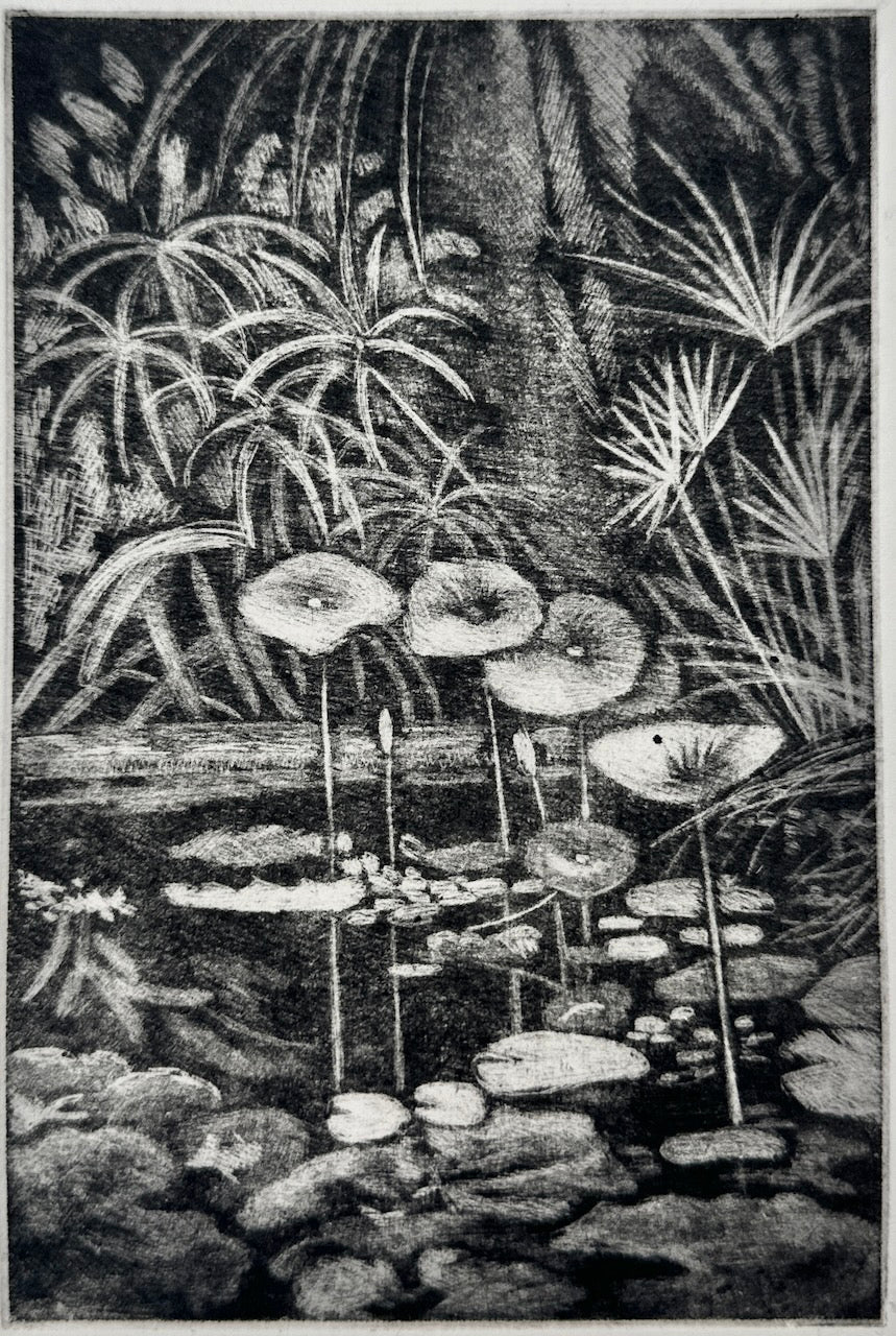 The Pound / 19x26 cm / MEZZOTINT Etching