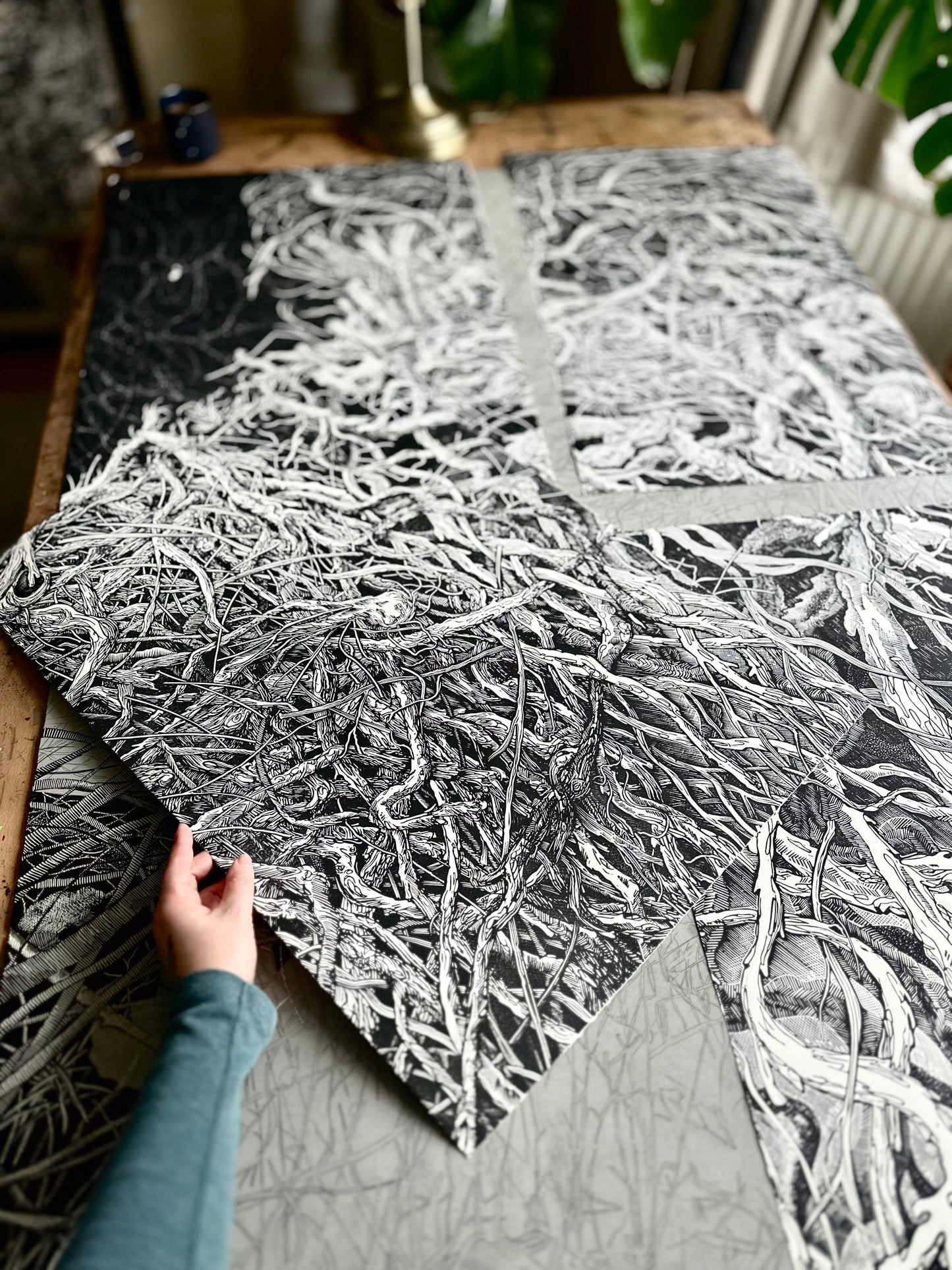 Habitat No3 Onion / 45x65 cm