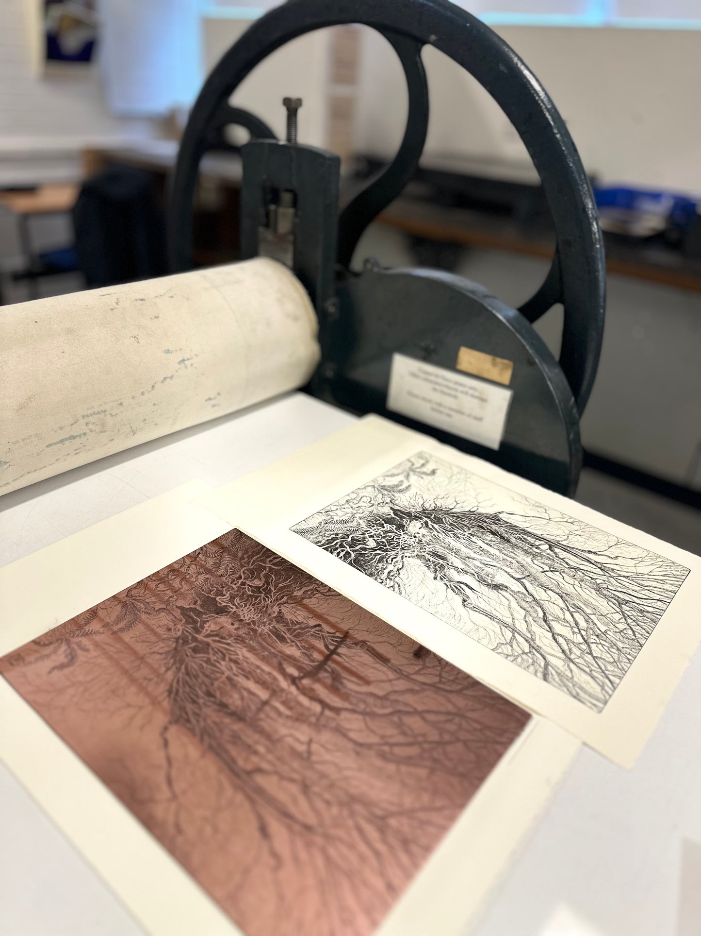 Rooted / Etching / 38x57cm