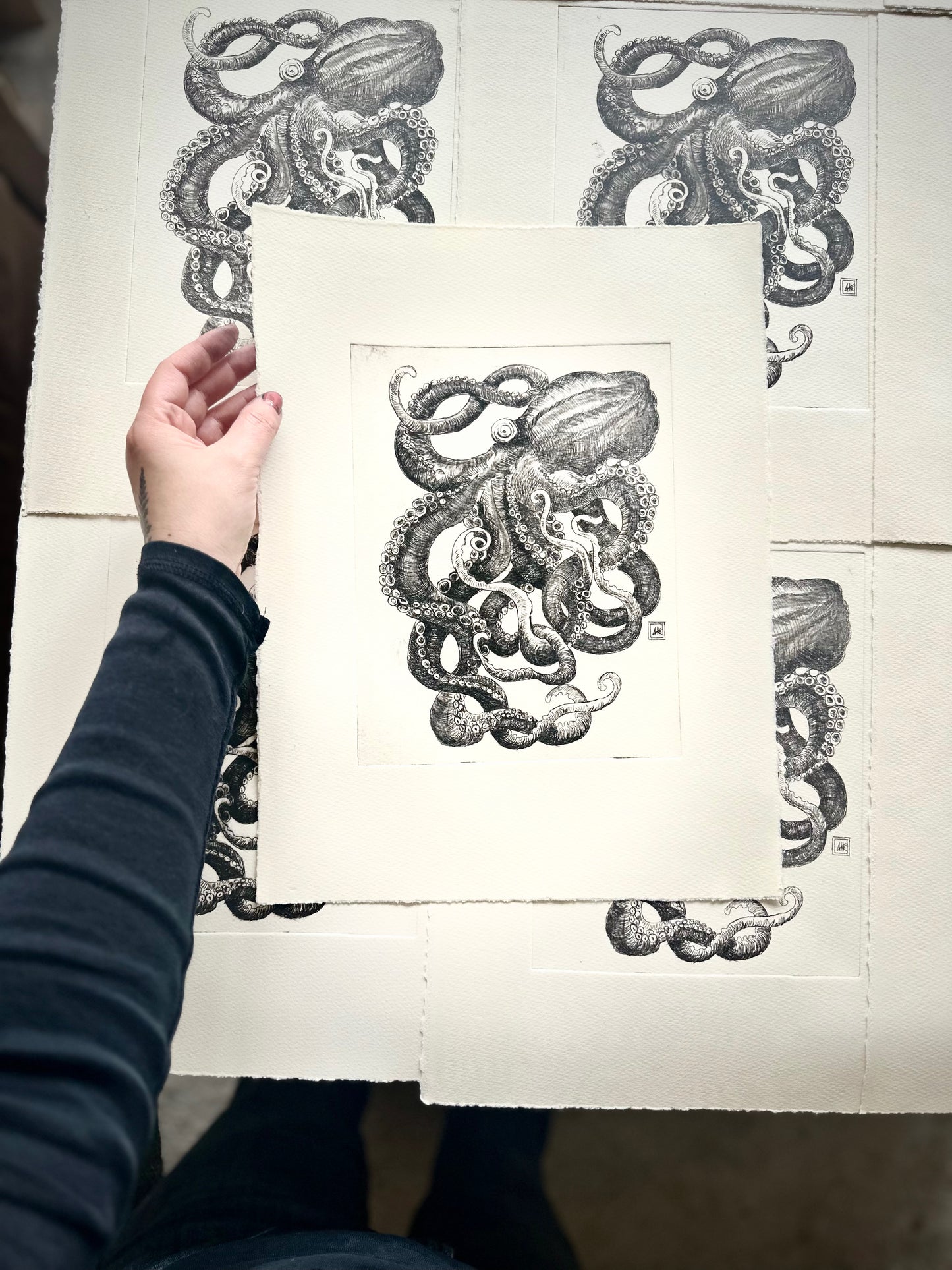 Small Octopus 28x38 cm/ DRY POINT Etching