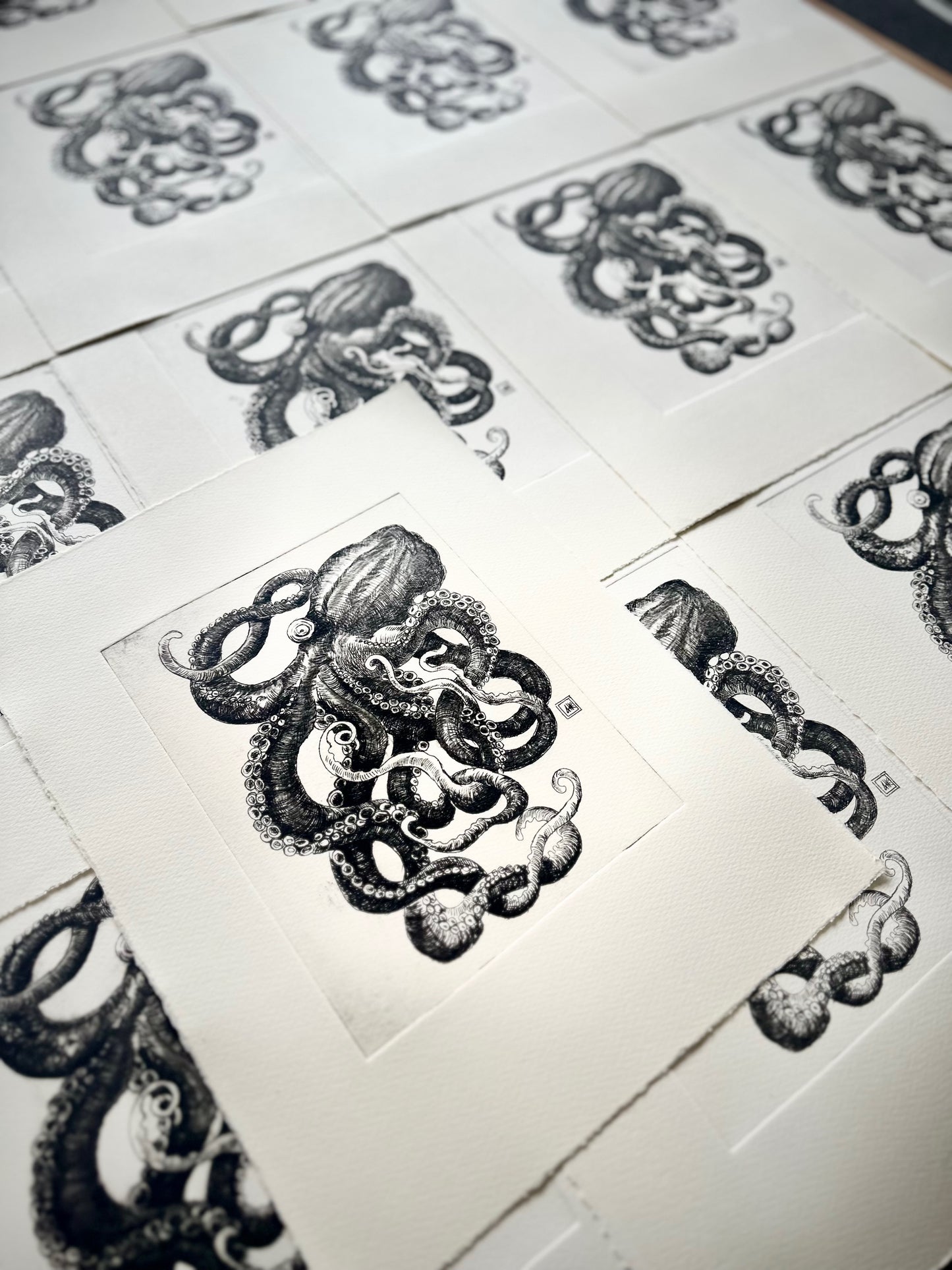 Small Octopus 28x38 cm/ DRY POINT Etching
