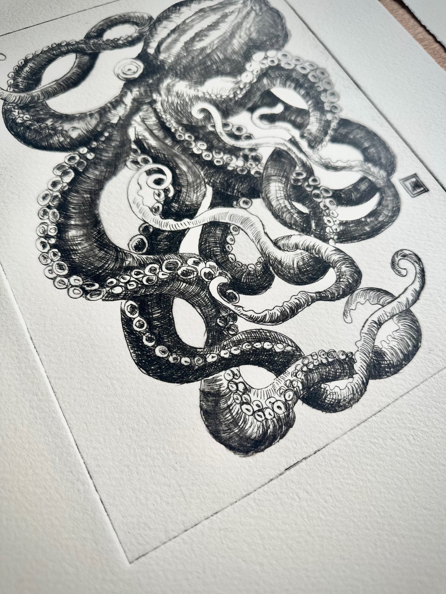 Small Octopus 28x38 cm/ DRY POINT Etching