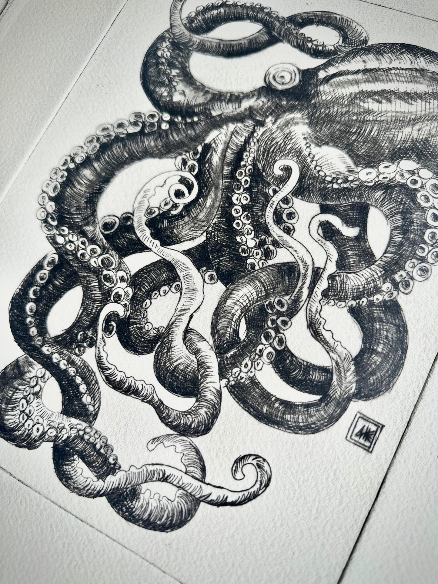 Small Octopus 28x38 cm/ DRY POINT Etching