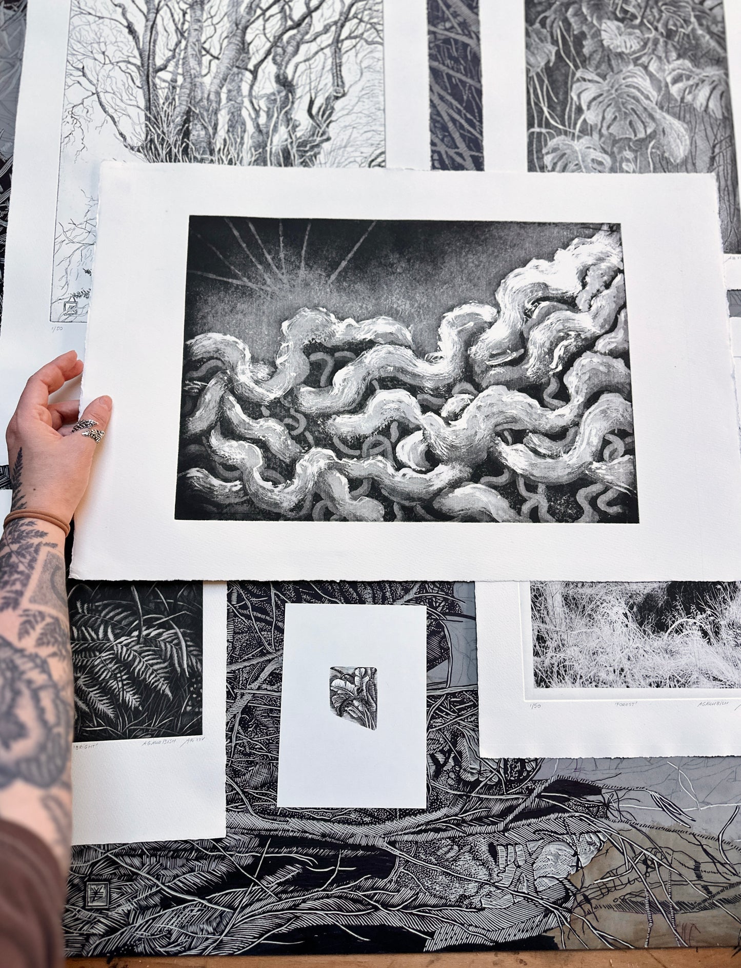 Rootlines: Collector's Portfolio / SET of 6