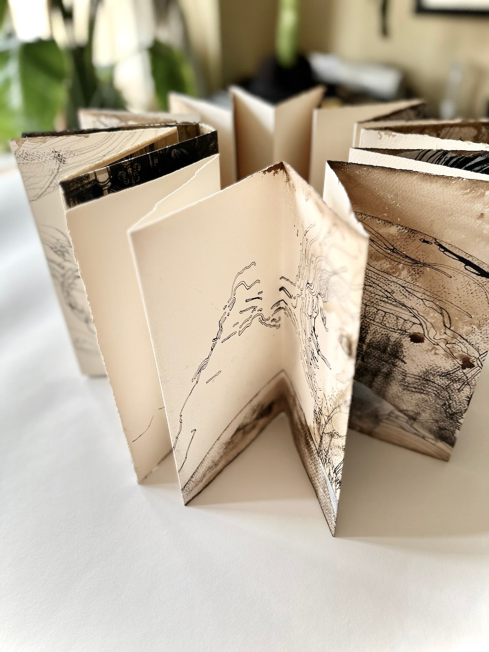 'Rooflines' / ART BOOK
