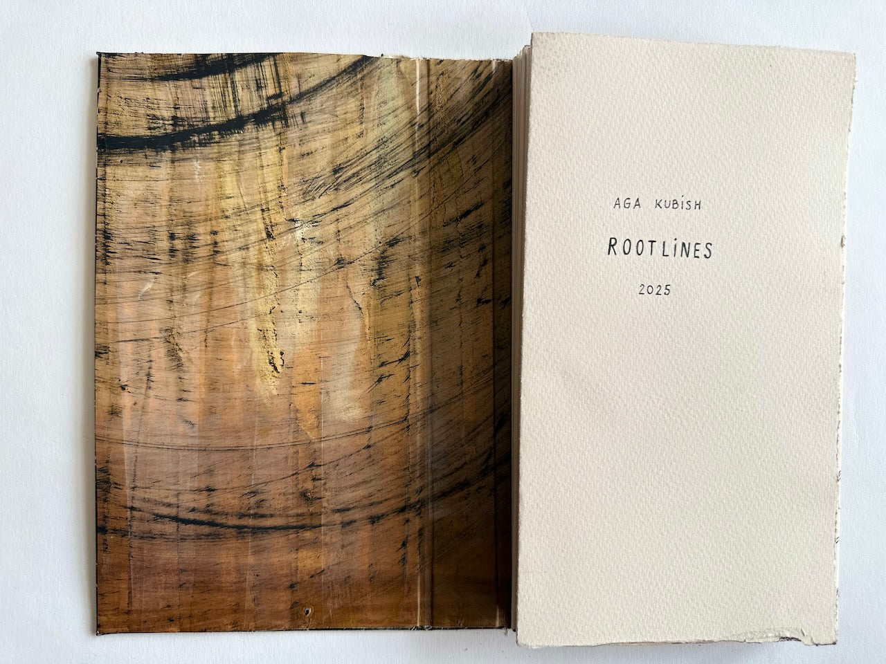 'Rooflines' / ART BOOK