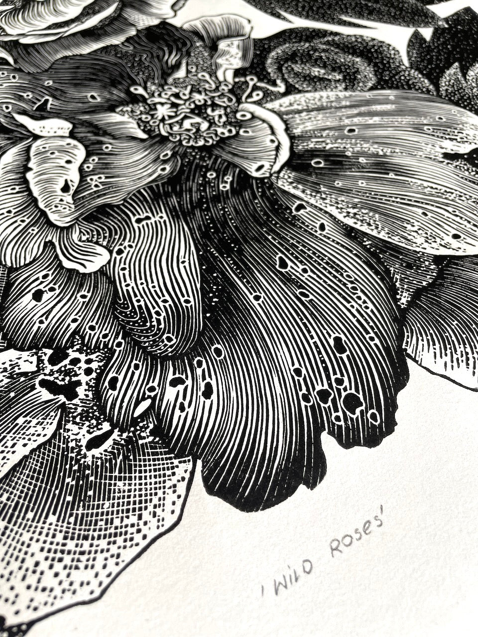 Wild Roses / 80x53 cm