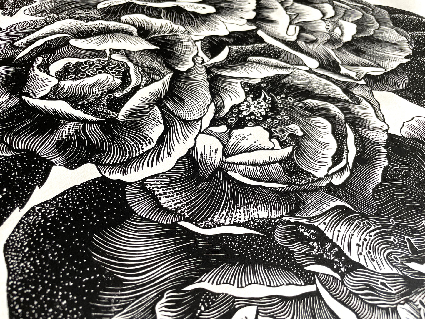 Wild Roses / 80x53 cm