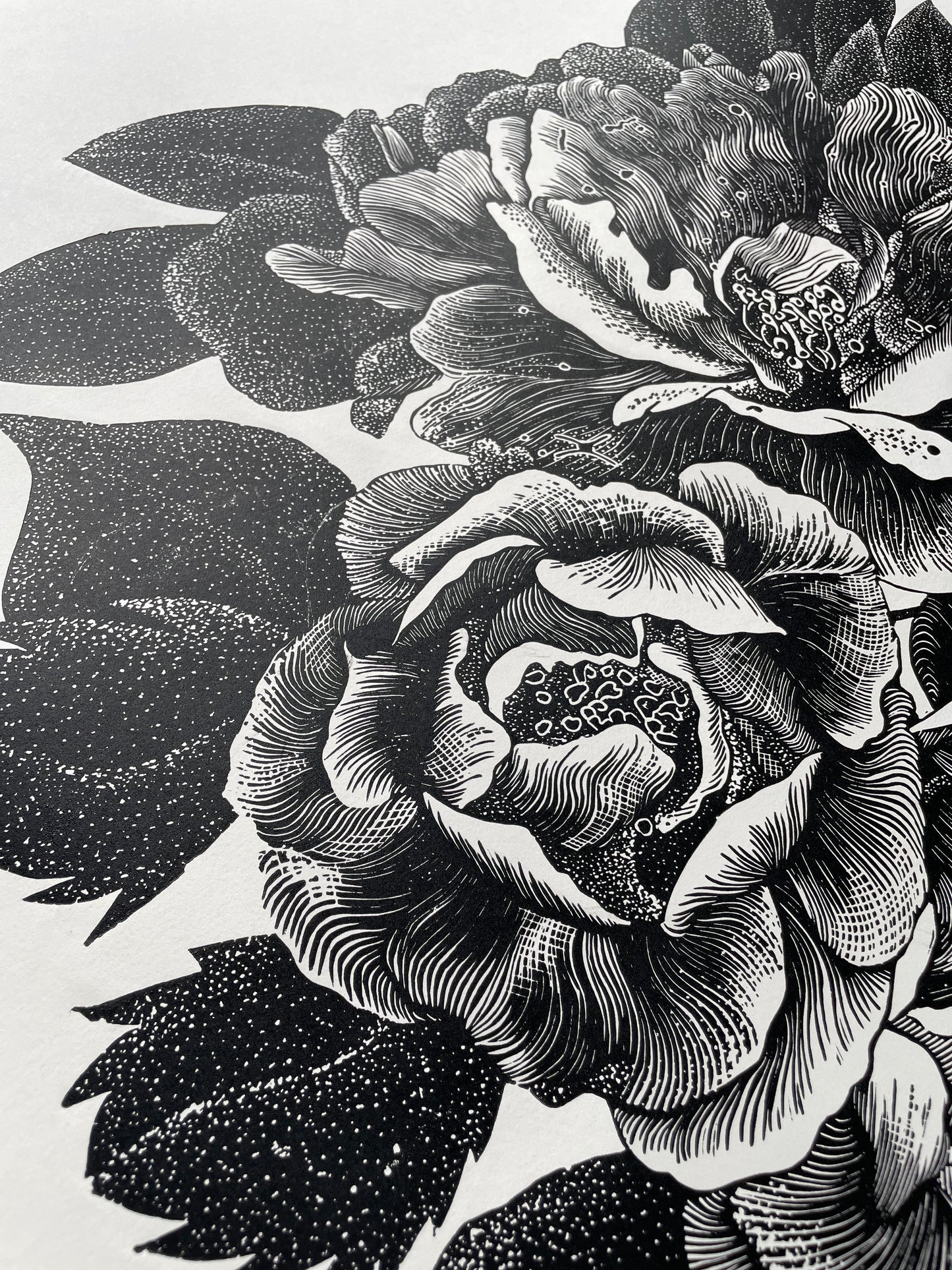 Wild Roses / 80x53 cm