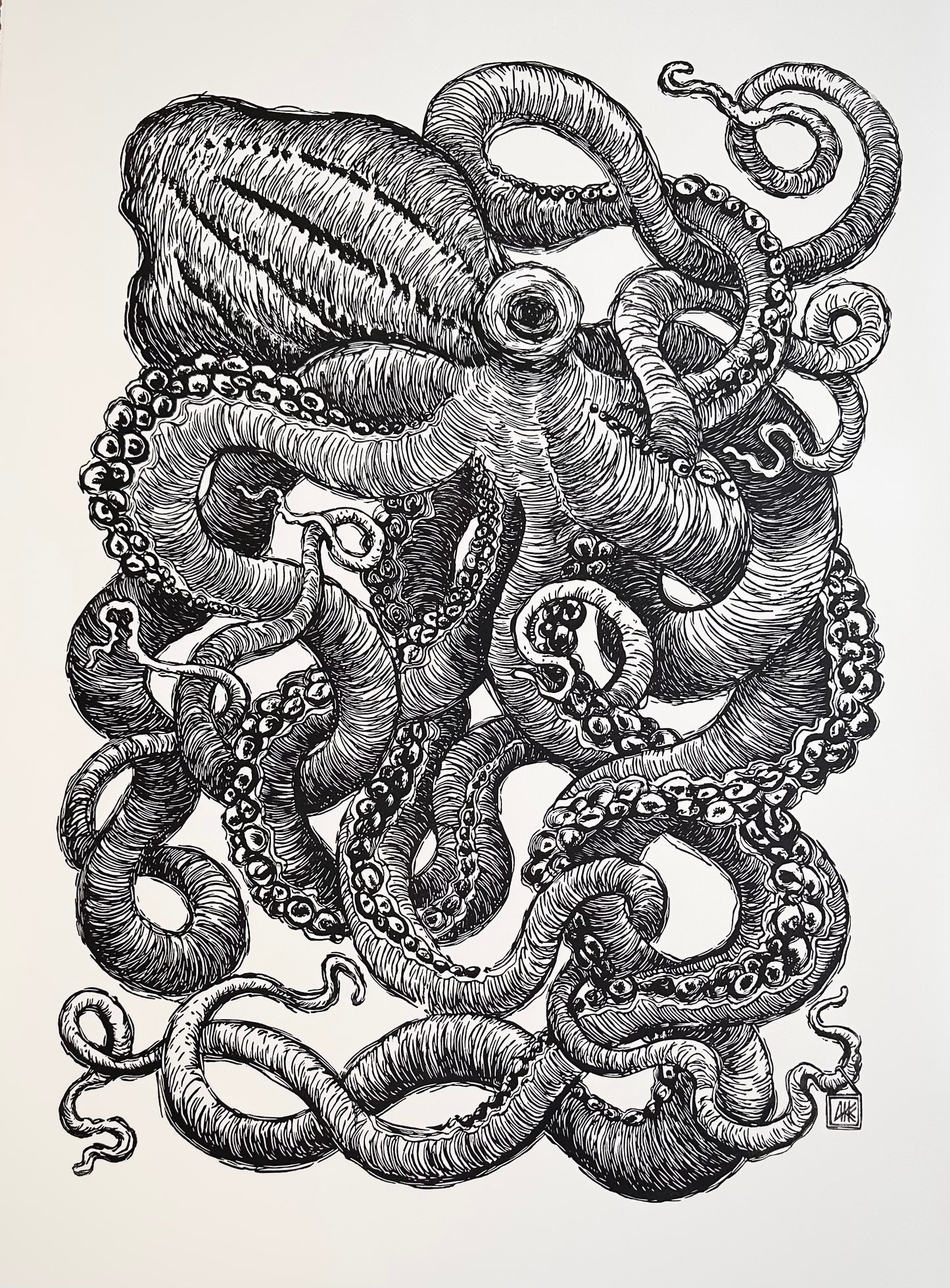 Octopus III / 56x76cm