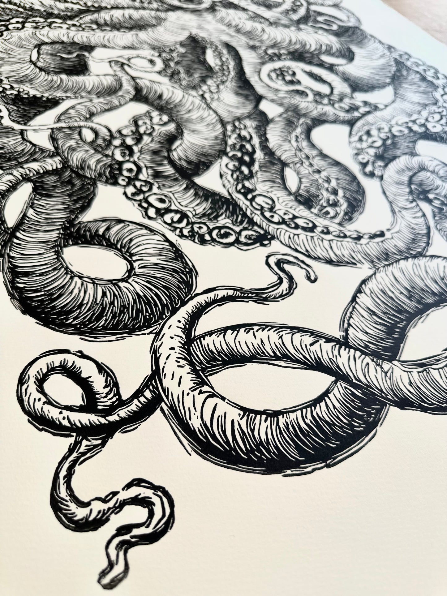 Octopus III / 56x76cm