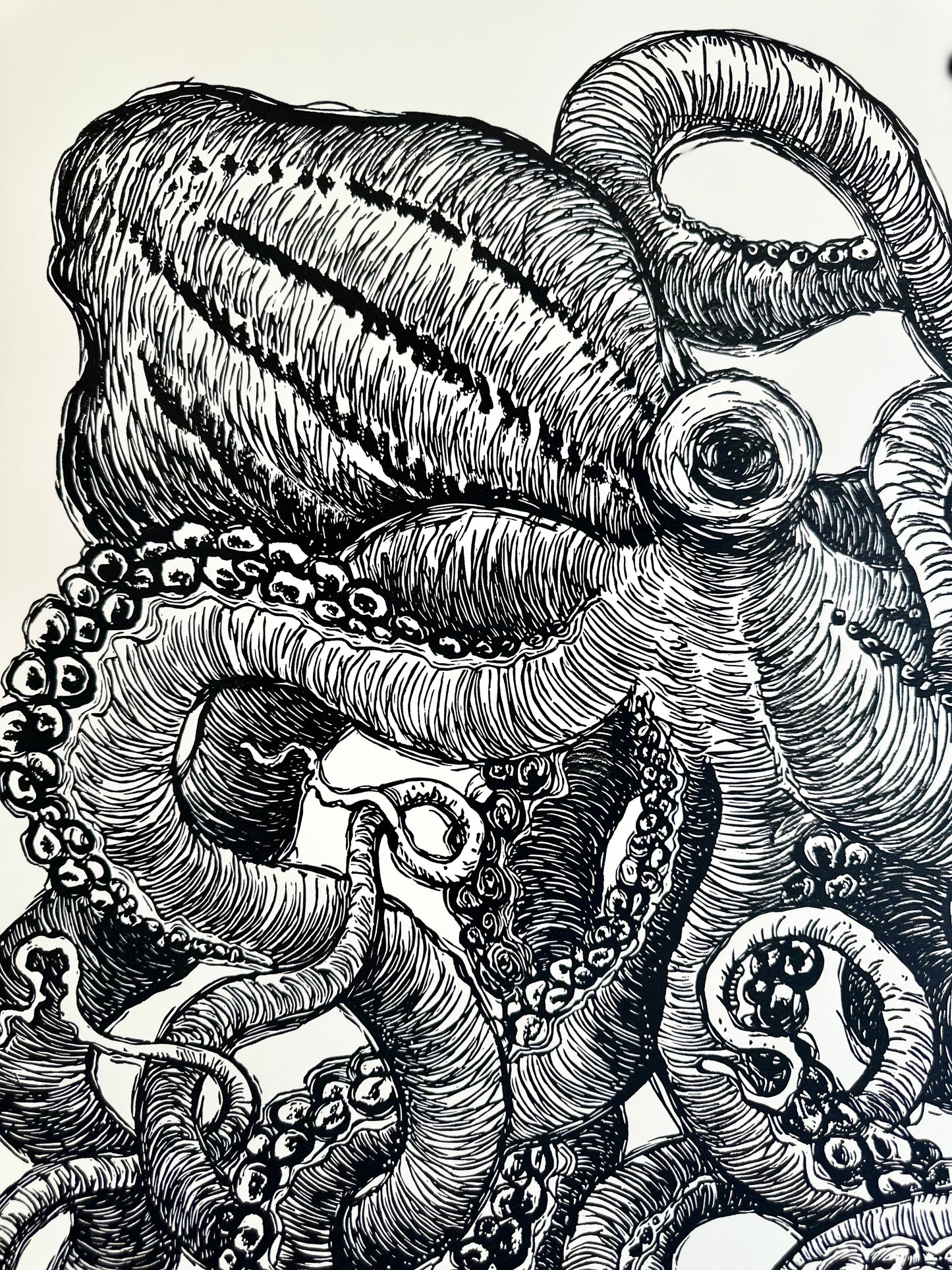 Octopus III / 56x76cm