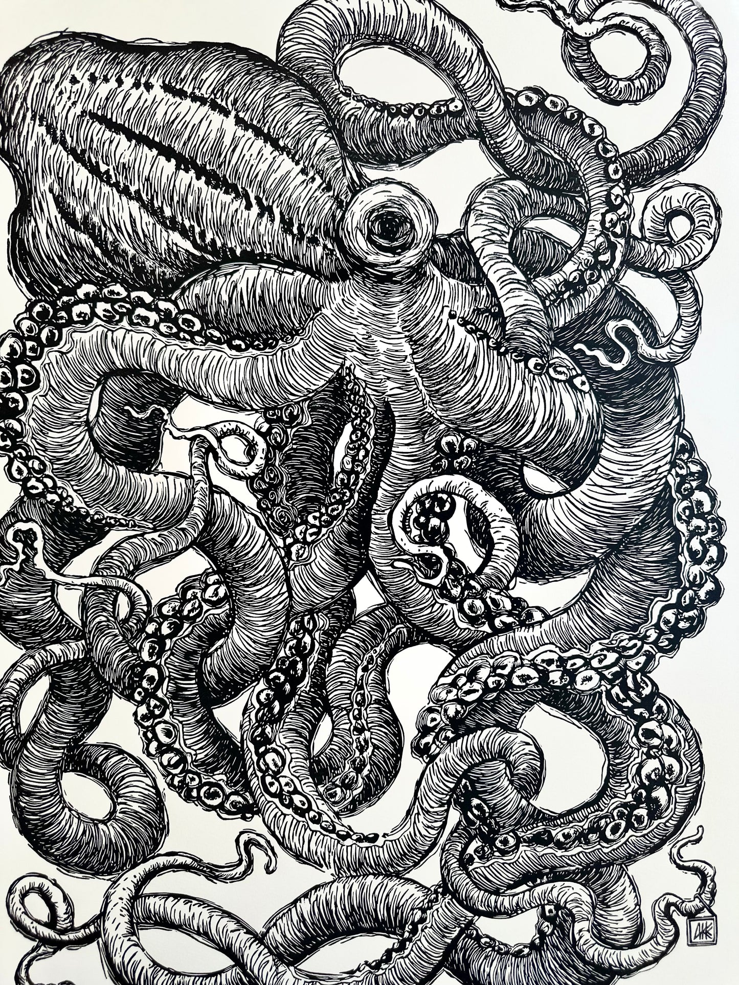 Octopus III / 56x76cm