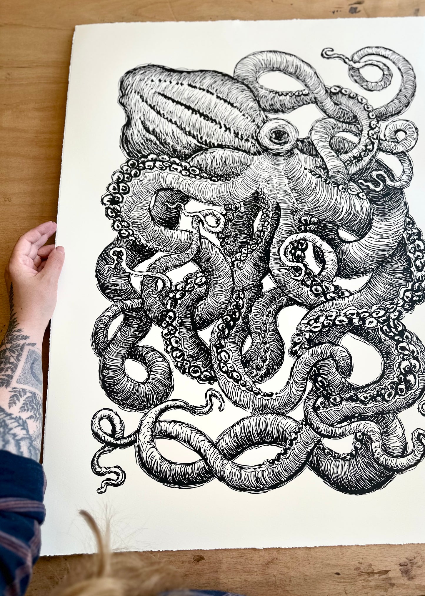 Octopus III / 56x76cm