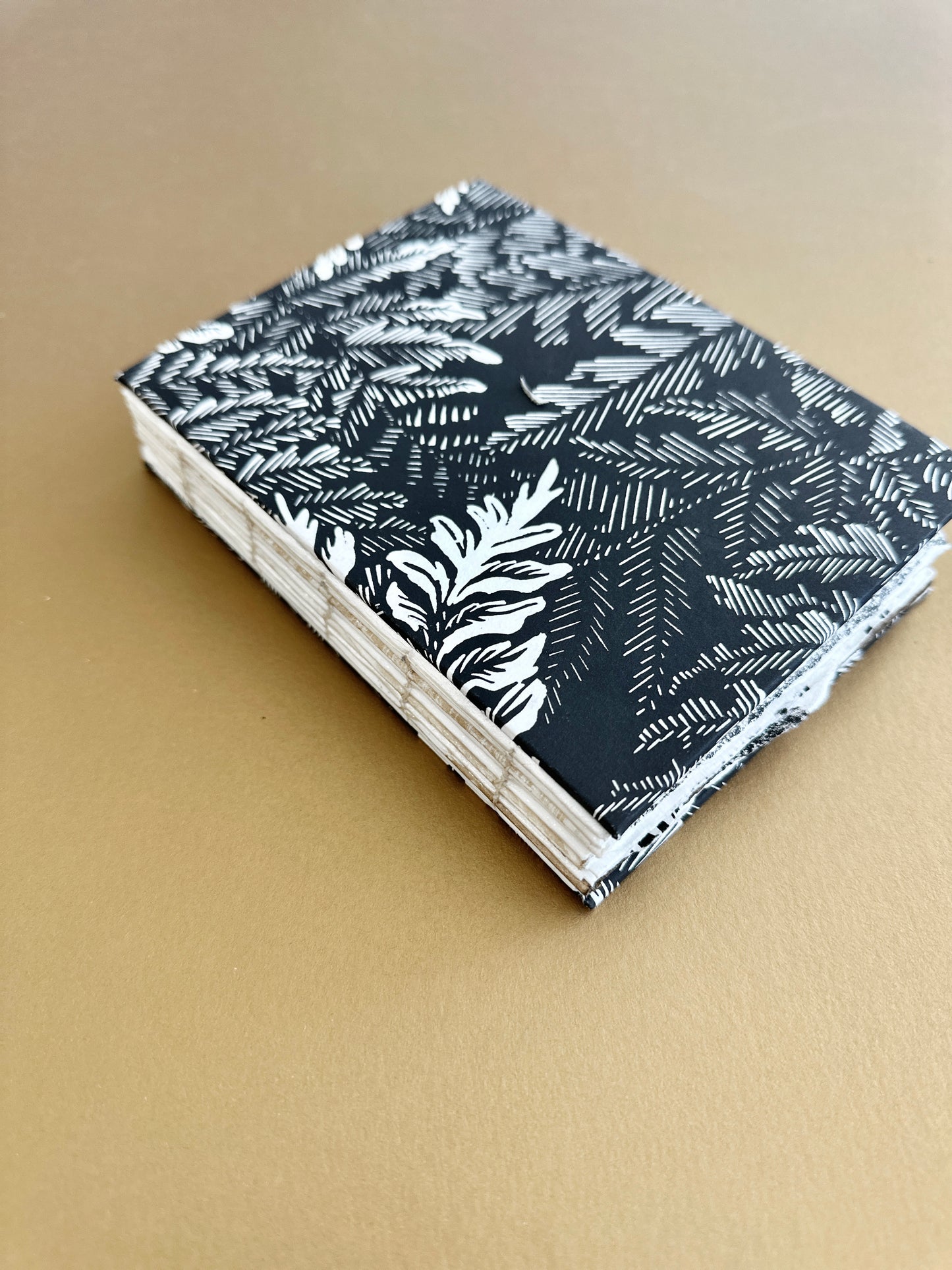 SKETCH BOOK / Ferns