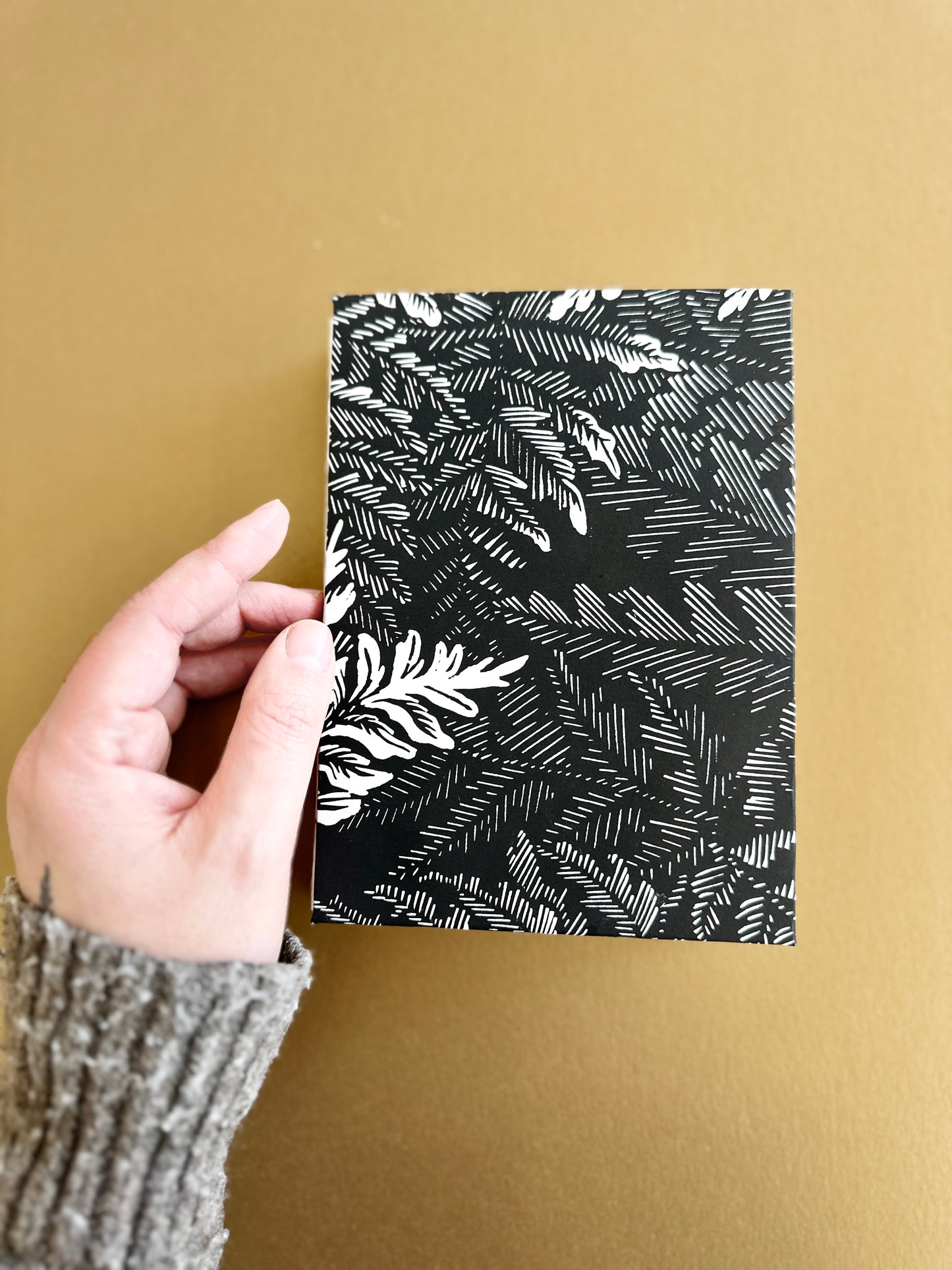 SKETCH BOOK / Ferns
