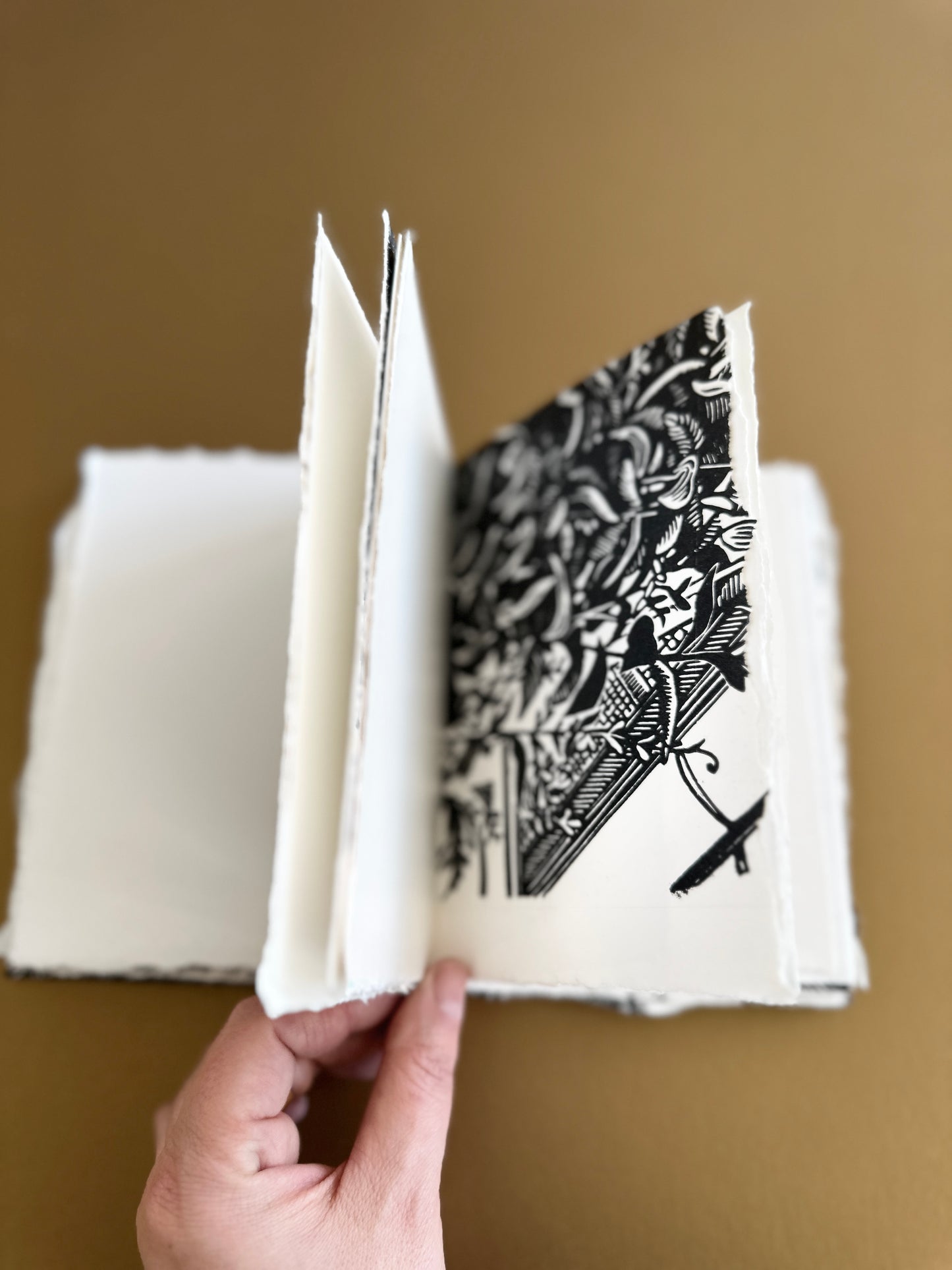 SKETCH BOOK / Ferns