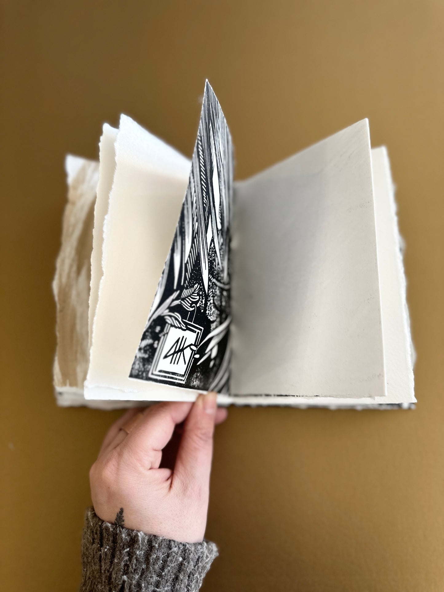 SKETCH BOOK / Ferns