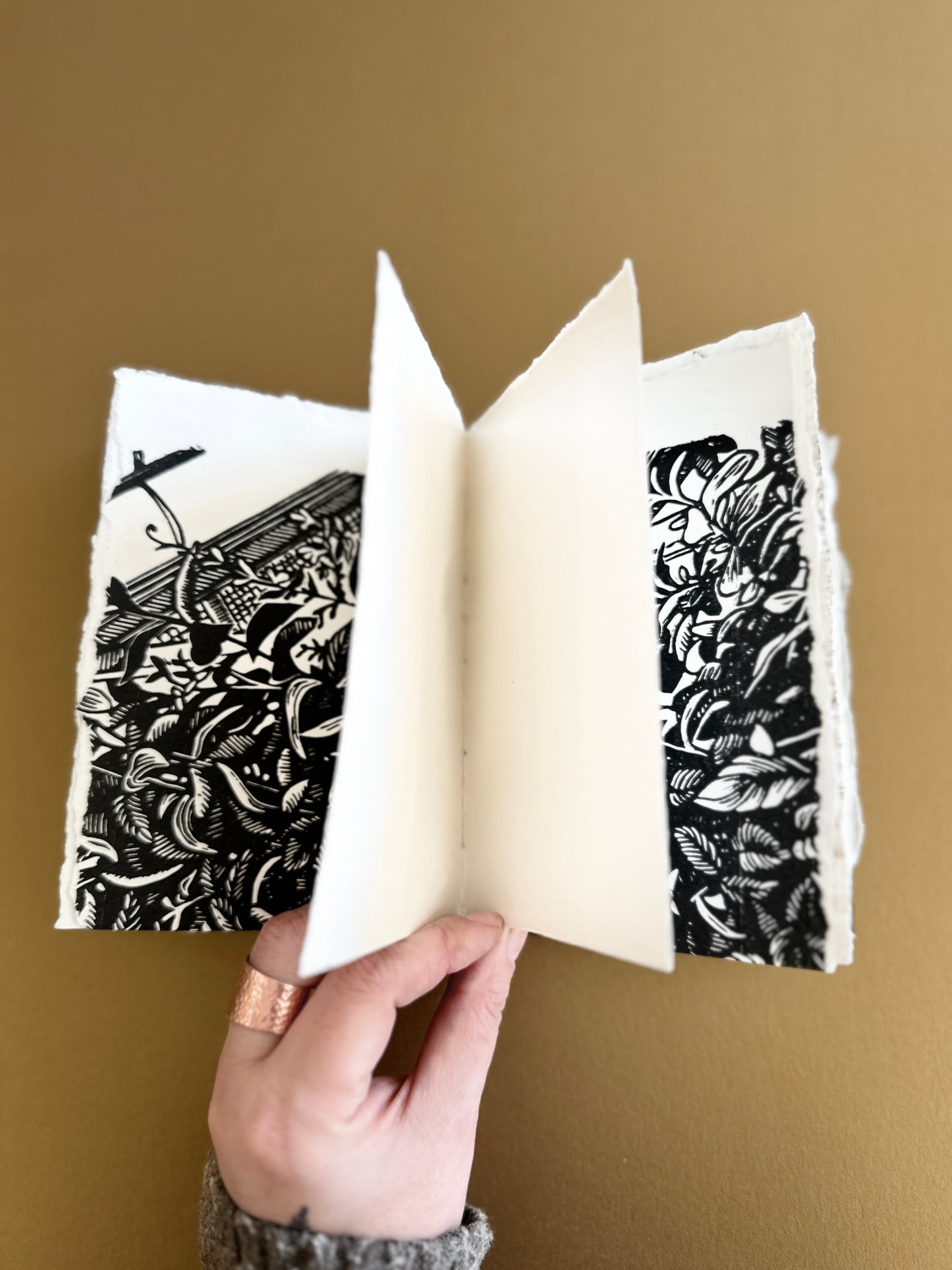 SKETCH BOOK / Ferns