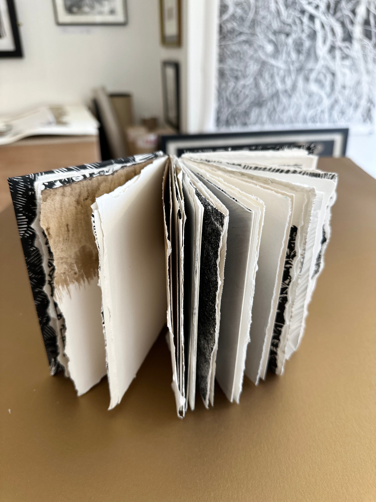 SKETCH BOOK / Ferns