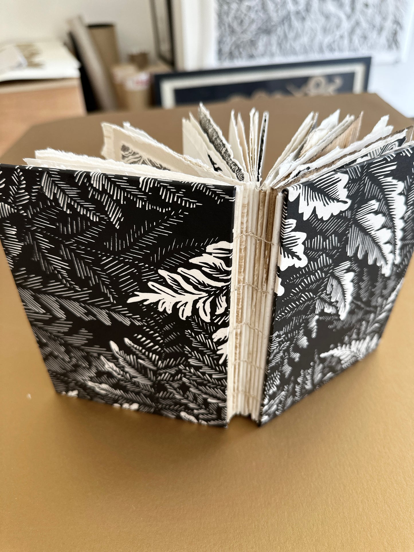 SKETCH BOOK / Ferns