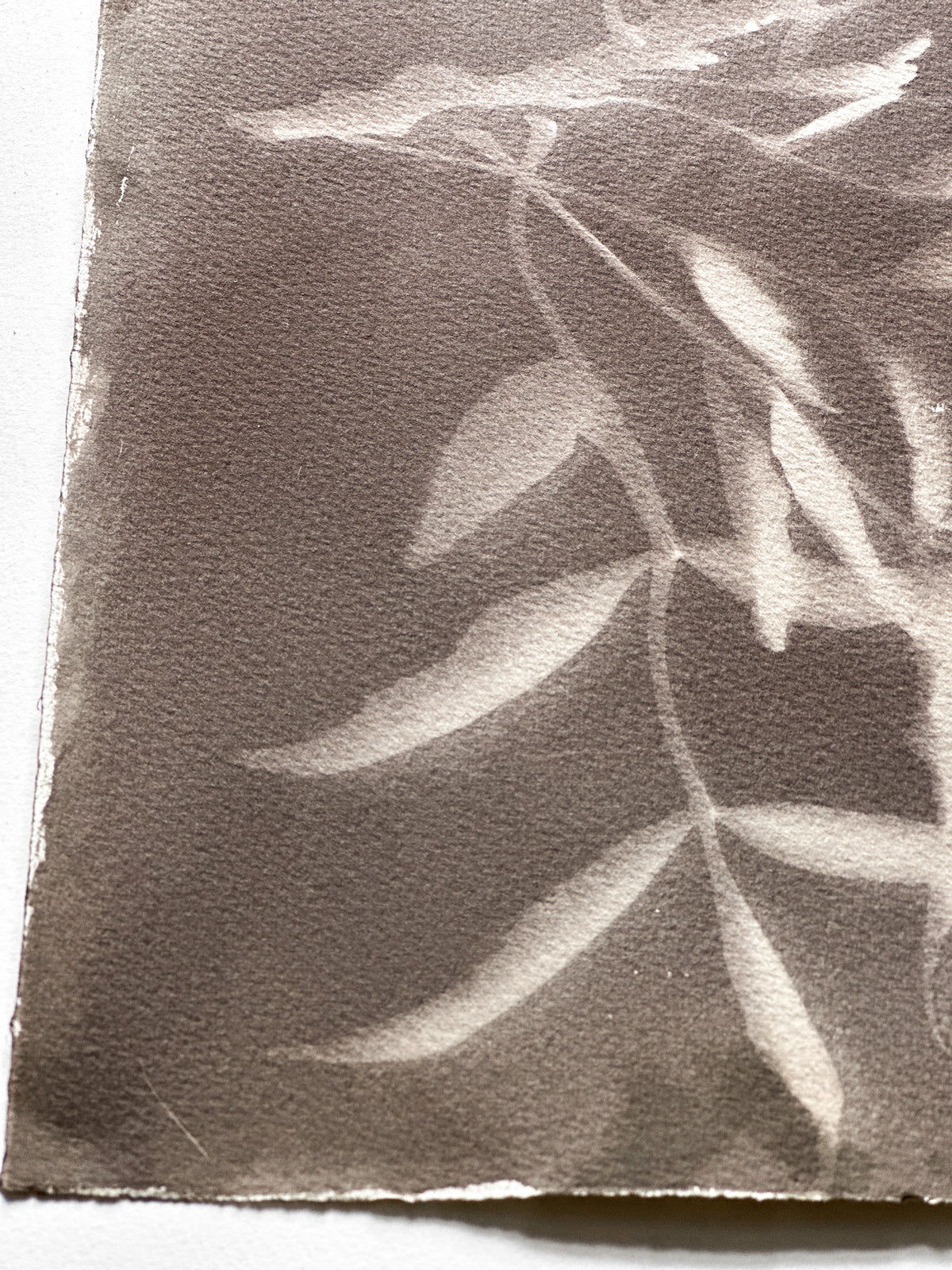 Behind the Leaves / 37x28cm