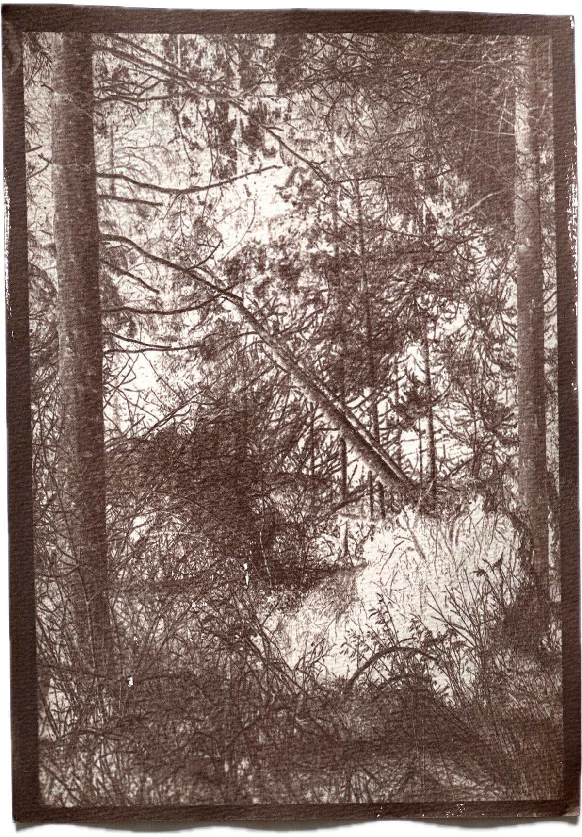 Forest / 21x30cm