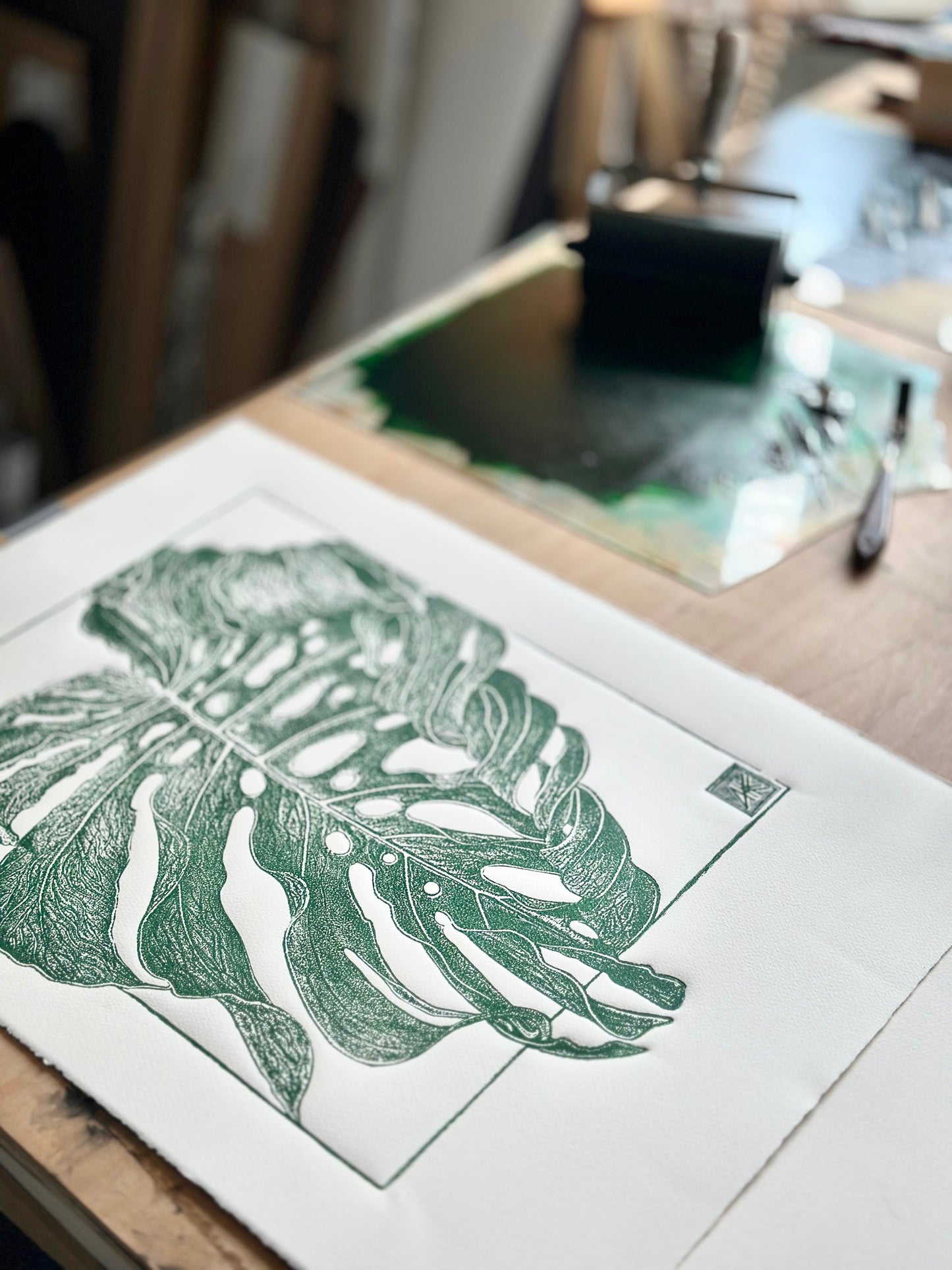 Monstera's Leaf / 50x70cm