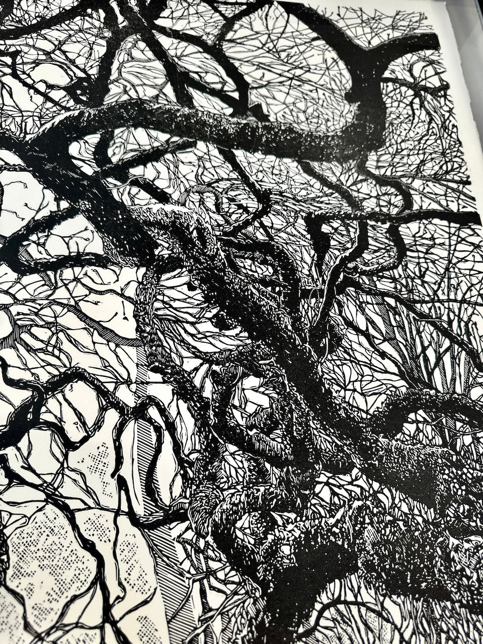 The TREE / 76x56 cm