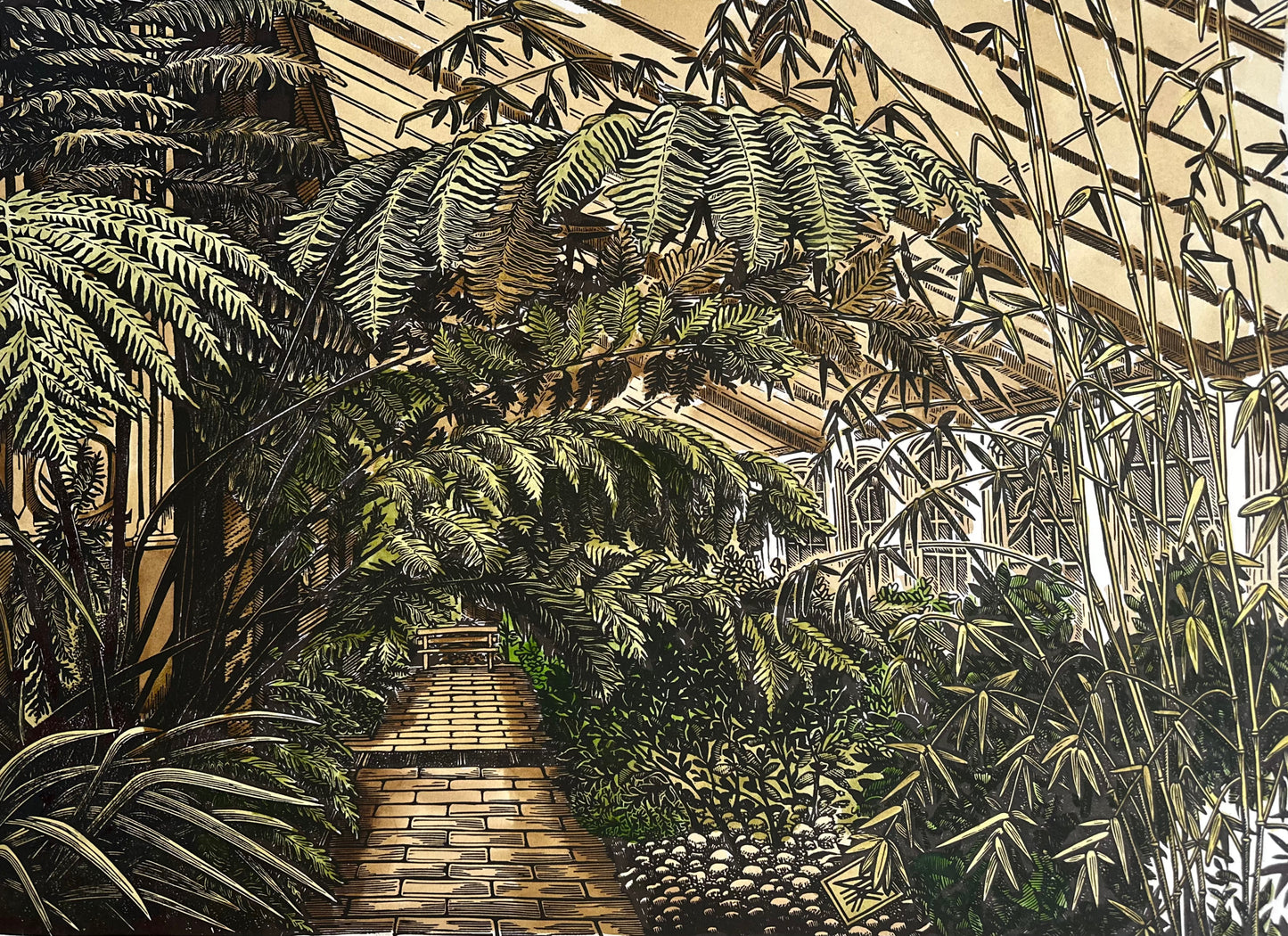 House of Ferns / UNIQUE EDITION / 53x76 cm