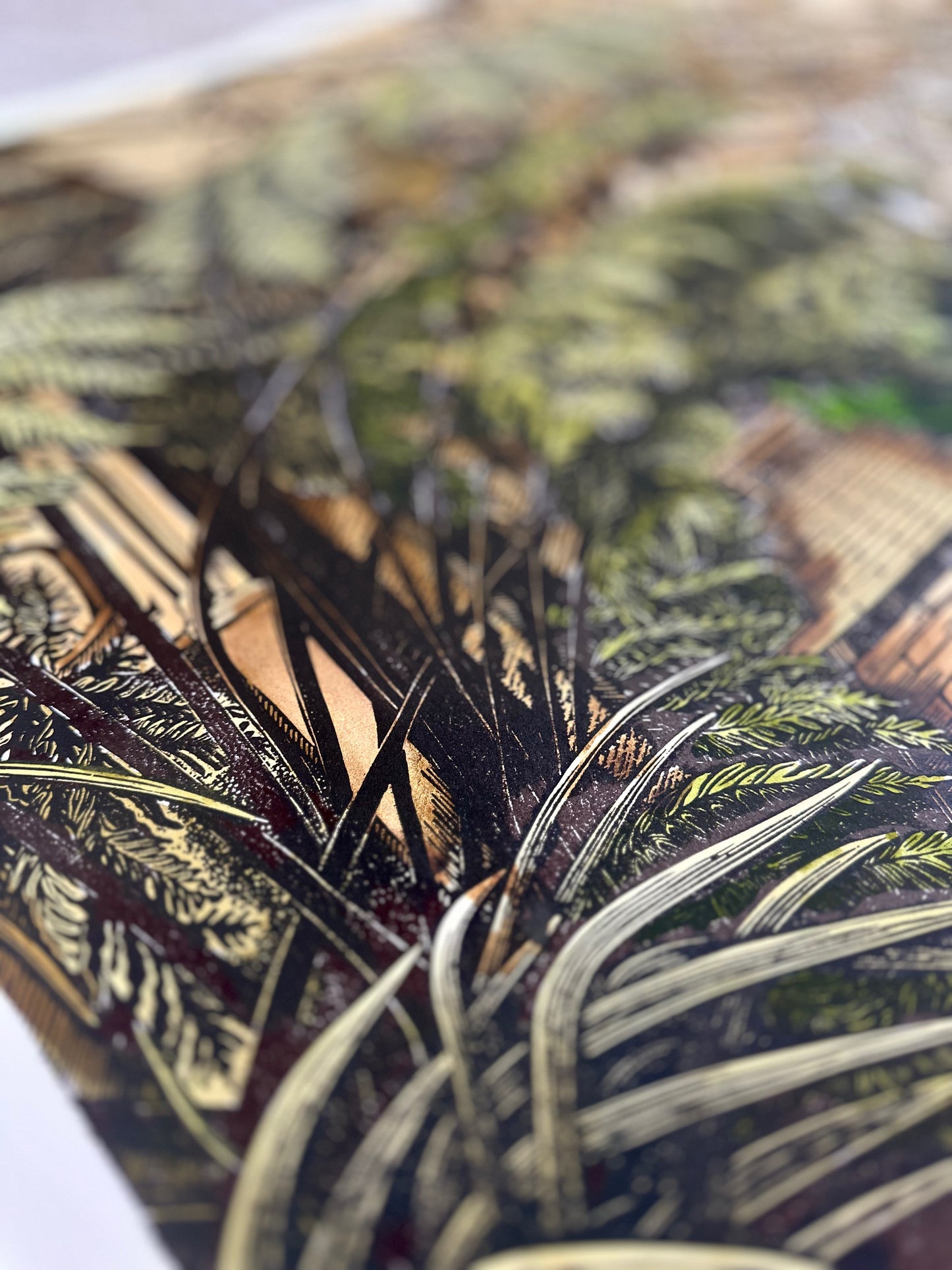 House of Ferns / UNIQUE EDITION / 53x76 cm