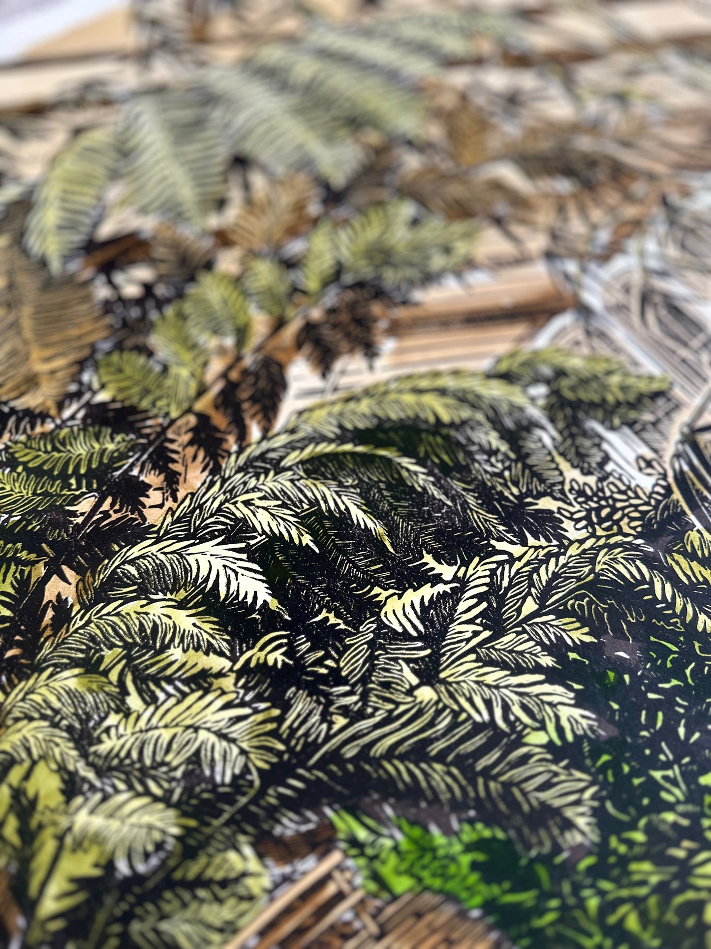 House of Ferns / UNIQUE EDITION / 53x76 cm