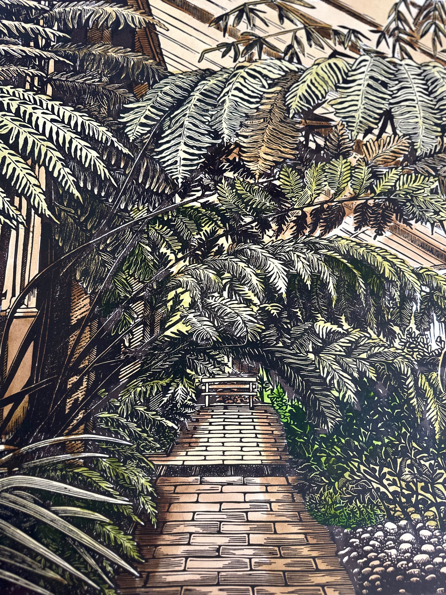 House of Ferns / UNIQUE EDITION / 53x76 cm