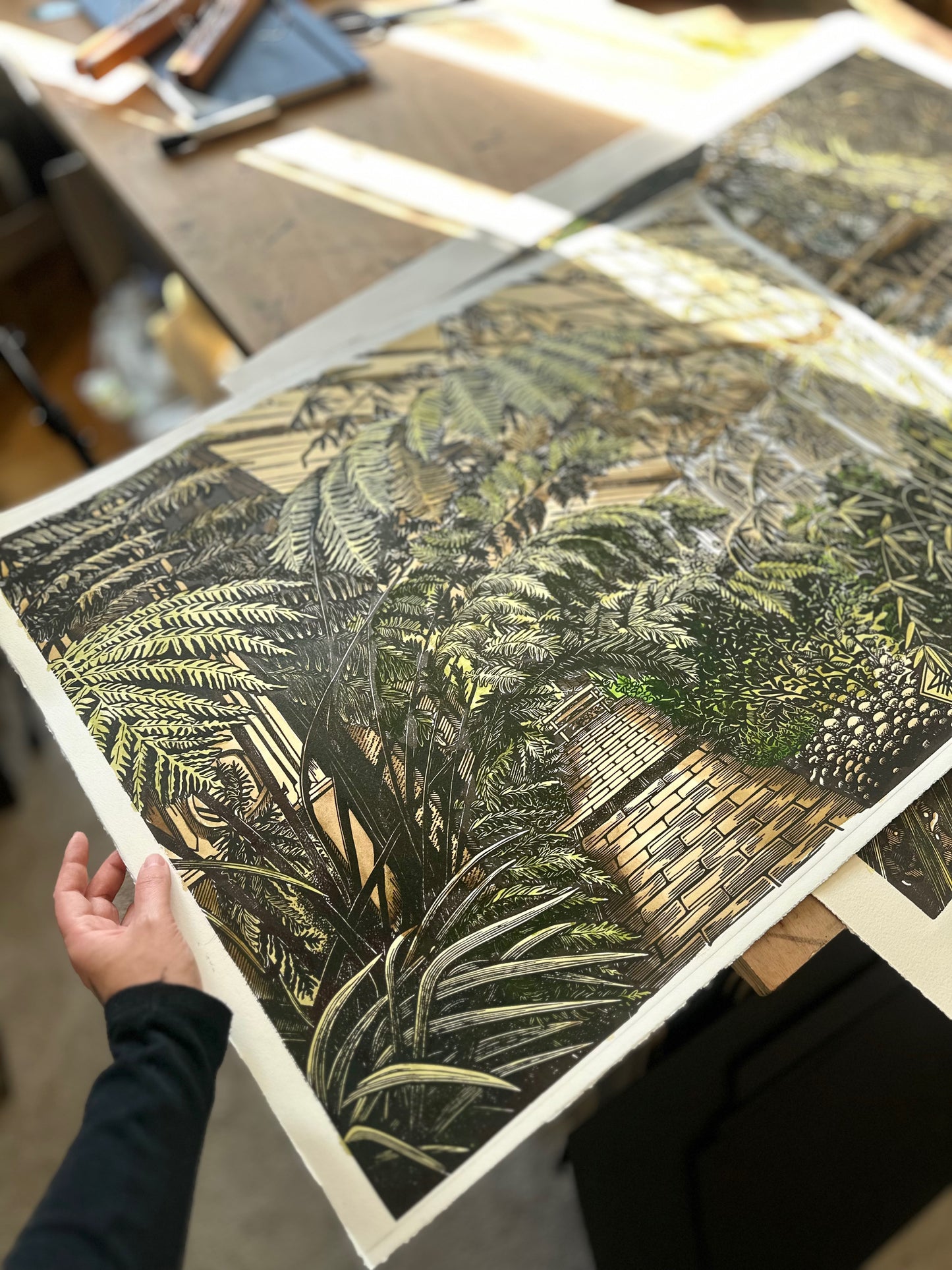 House of Ferns / UNIQUE EDITION / 53x76 cm
