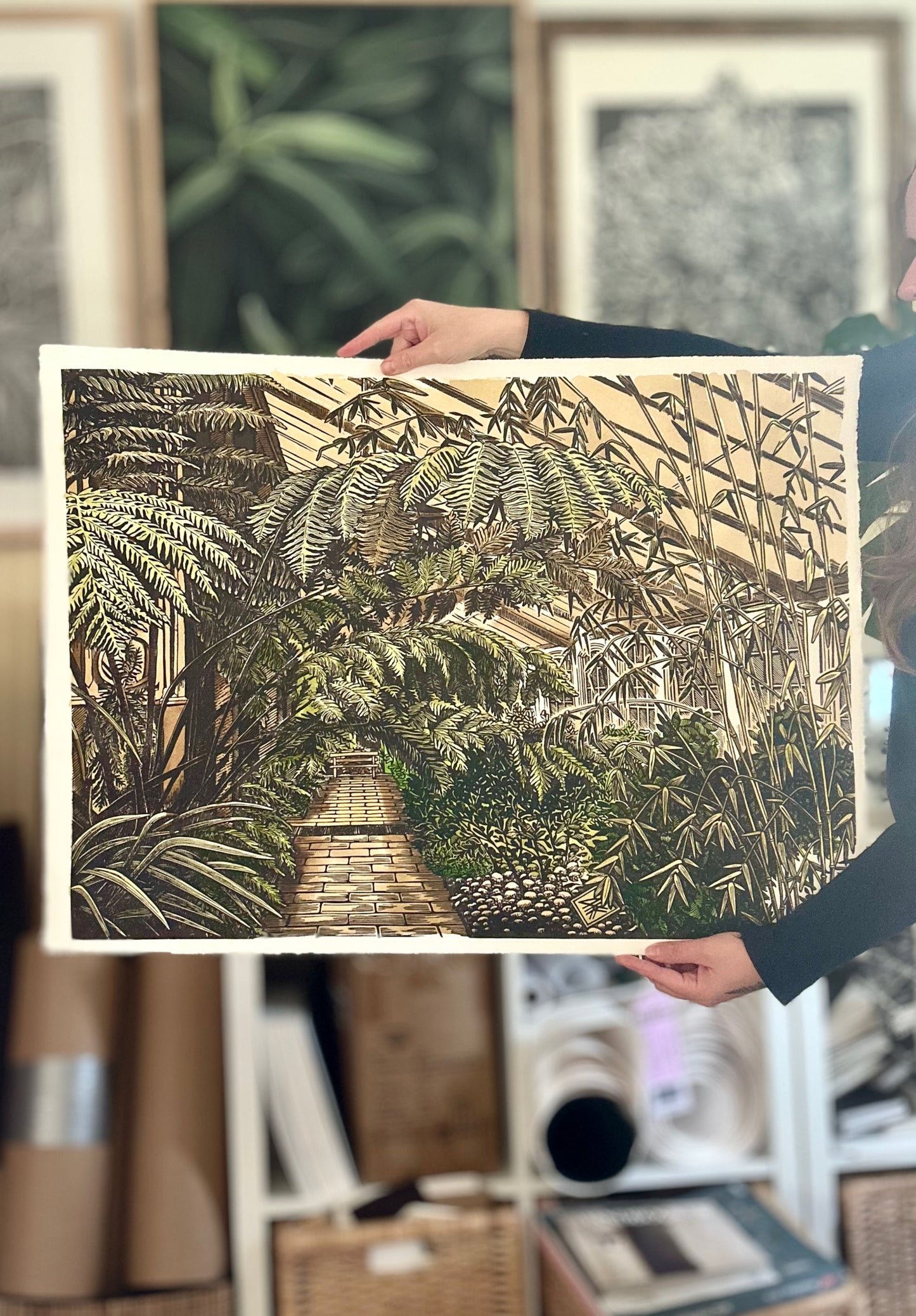 House of Ferns / UNIQUE EDITION / 53x76 cm